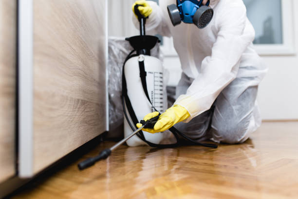 Best Affordable Pest Control Services  in Thornville, OH