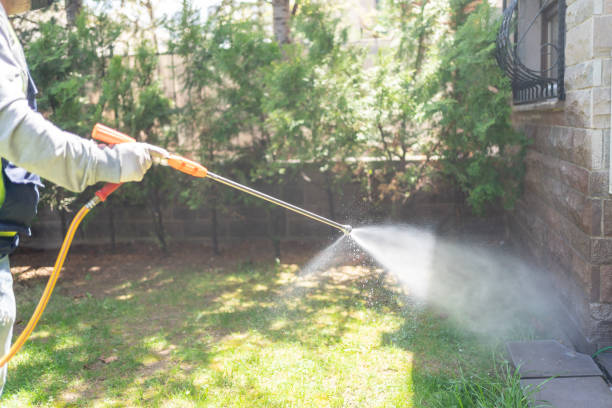 Pest Prevention Services in Thornville, OH