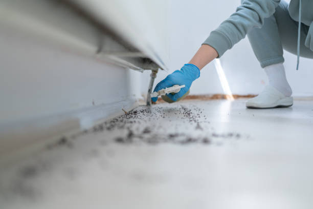 Best Commercial Pest Control Services  in Thornville, OH